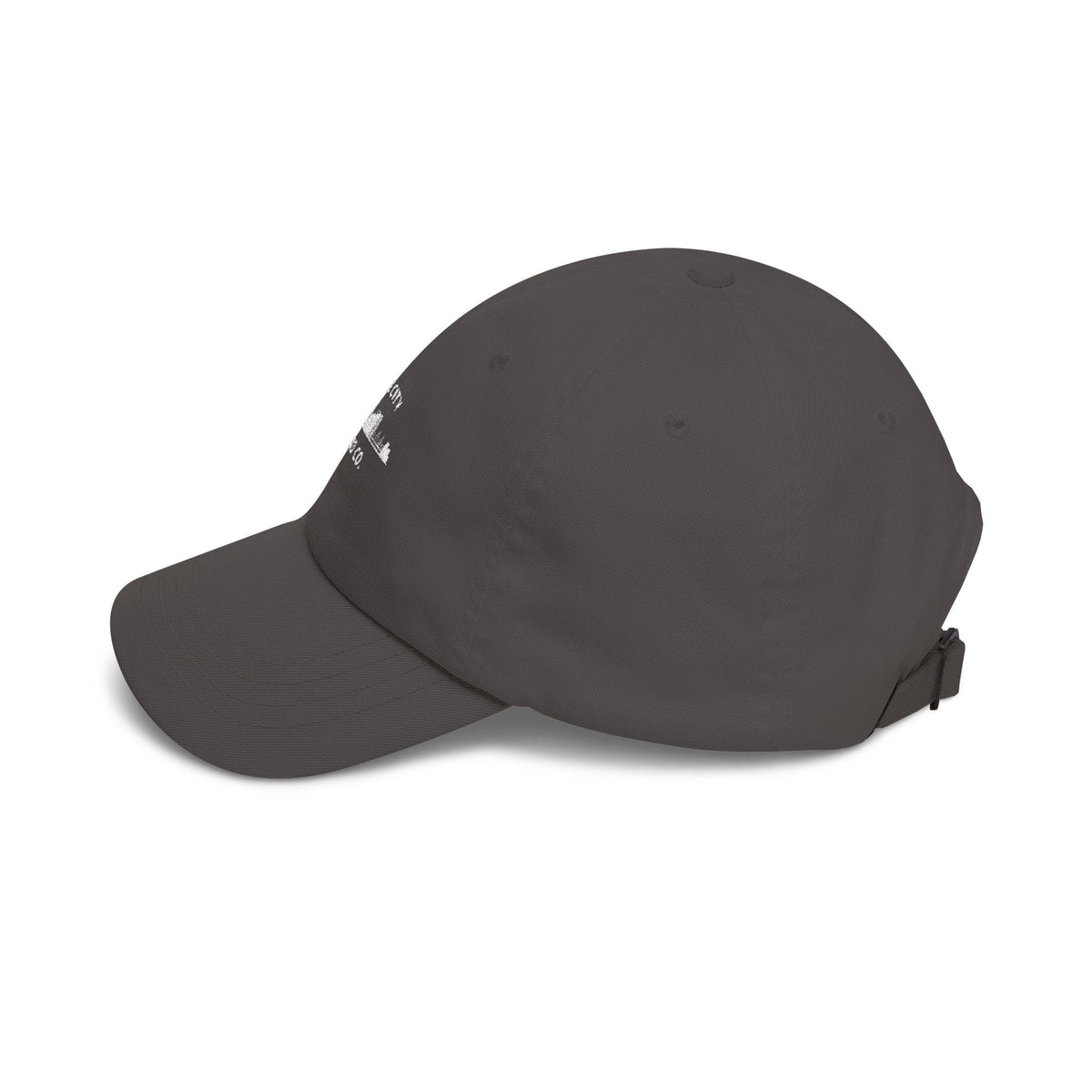 w8v clothing Hats > Baseball Caps > Dad Hats The City Bridge Dad Co Dad Hat The City Bridge Dad Co Dad Hat