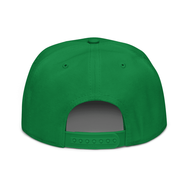 w8v clothing Hats > Baseball Caps > Snapback Hats Hella Bay Area Snapback Hella Bay Area Snapback